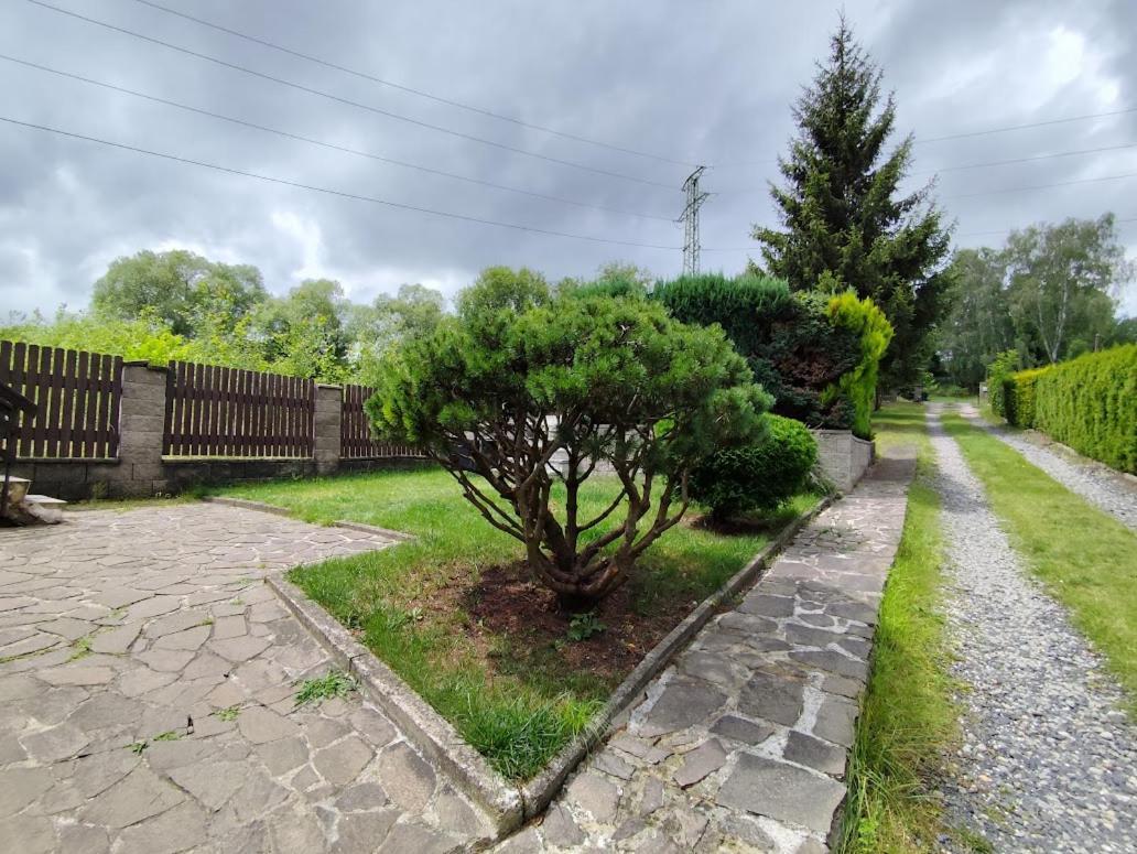 Apartman Terezka Jílové Extérieur photo
